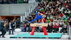grand prix della ginnastica 0269 sfe04984 copia simone ferraro ph